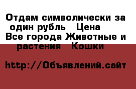 Отдам символически за один рубль › Цена ­ 1 - Все города Животные и растения » Кошки   